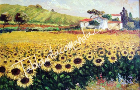 Lan de Floarea Soarelui