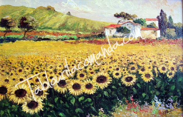 Lan de Floarea Soarelui