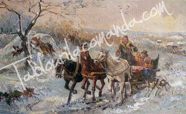 Troica. Sanie trasa de cai