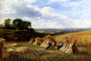 Cole George Harvest Field