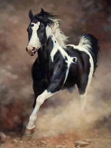 marris-spirit-unbroken