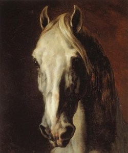 Théodore Géricault Kopf eines Schimmels